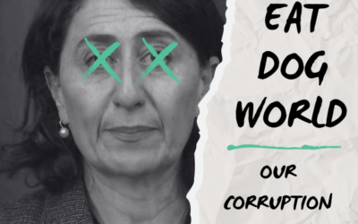 Dog Eat Dog World – Our Corruption Watchdog and its Political Prey