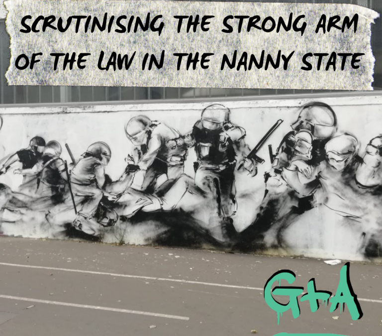 Nanny’s Wooden Spoon: Scrutinising the Strong Arm of the Law in the Nanny State