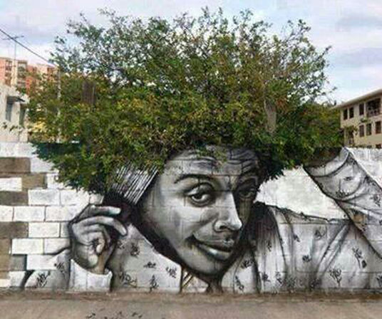 Class Action Victory for Green & Associates Solicitors Against Willmott Forests & CBA!