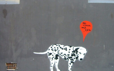 Teaching Defiant Dogs New Tricks – Contempt and Contraventions