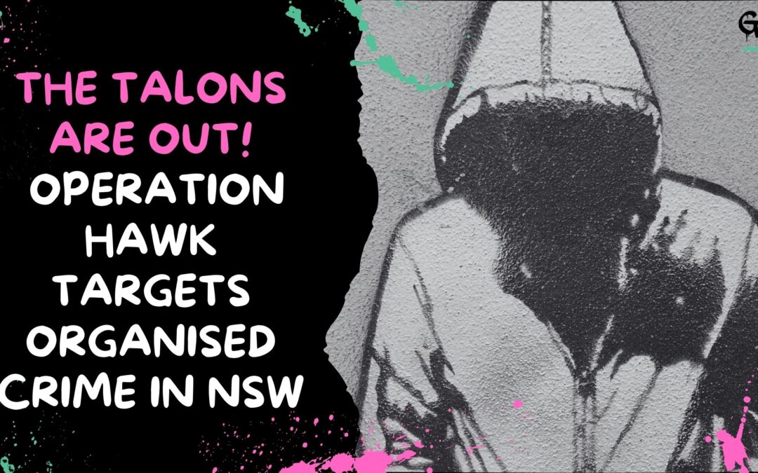 Hawk Targets Organized Crime NSW