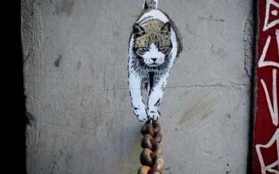 The Many Ways to Skin a Cat in Will and Estate Matters