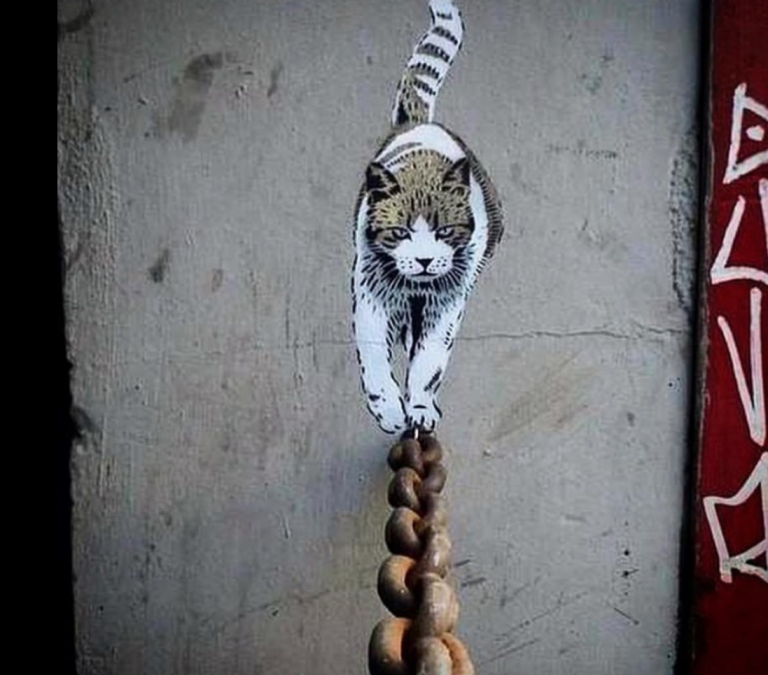 The Many Ways to Skin a Cat in Will and Estate Matters