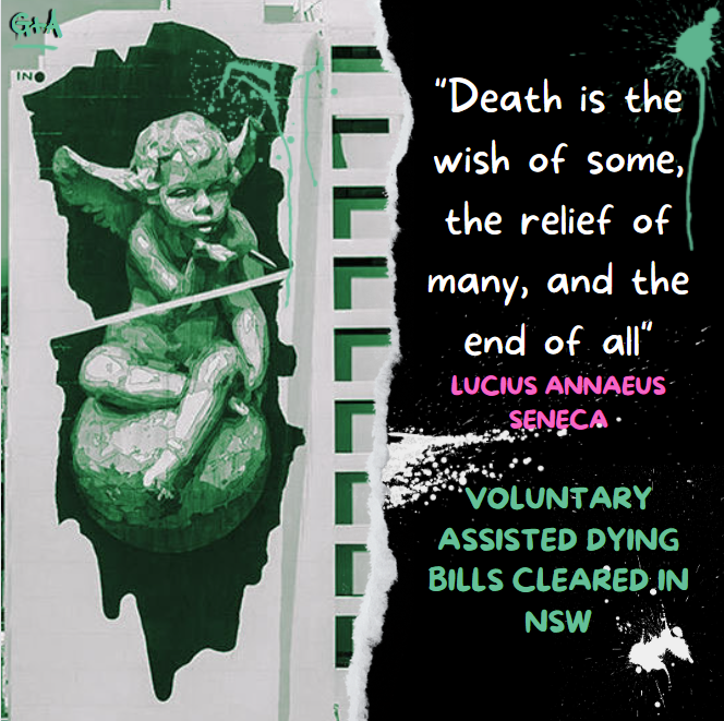 Voluntary Assisted Dying Bill