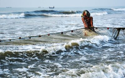 Notions of Wider Net-Casting